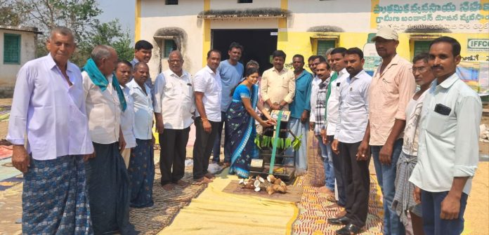 Paddy procurement centers launched under the auspices of the Royal Society