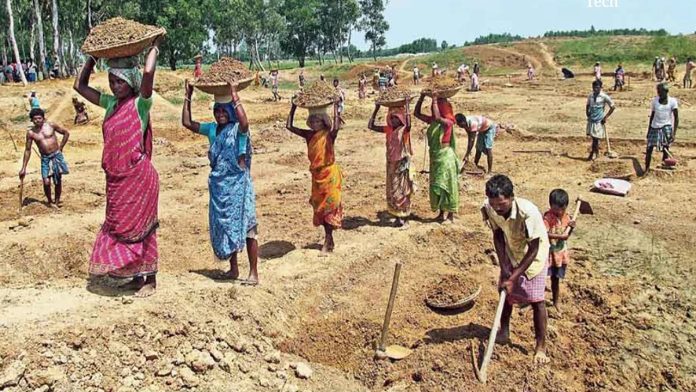 డేటా వెనుక కనిపించని జీవితాలు