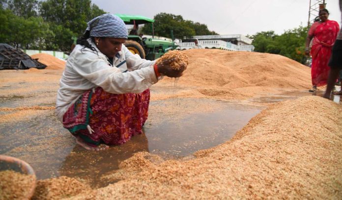 The generosity of grain farmers