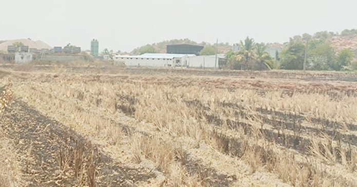 క్వారీ మాటున భూ కబ్జా