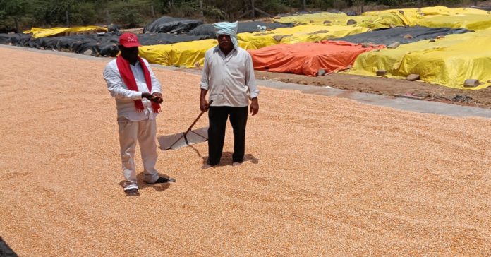 Government should buy every grain grown by farmers: CPI(M)
