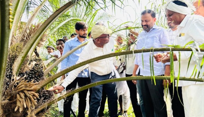 MLA inspects oil farm