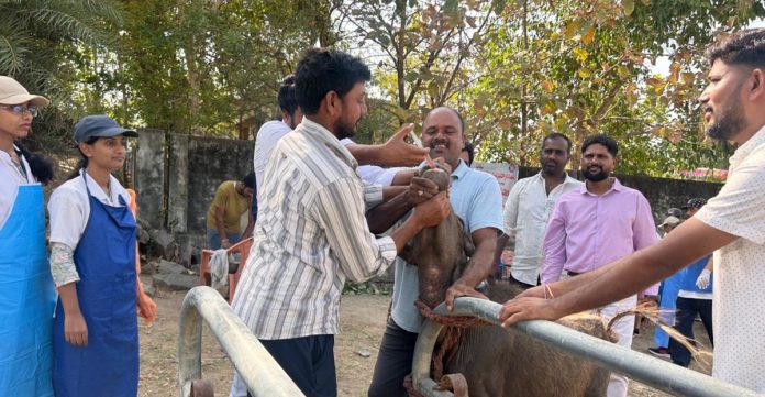 Free veterinary camp in Konapur