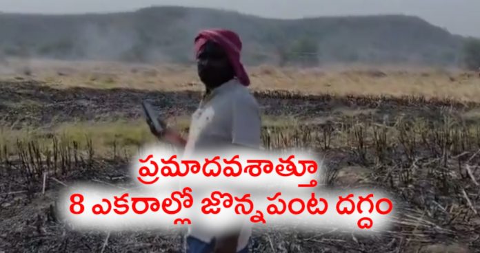 8 acres of sorghum crop burnt