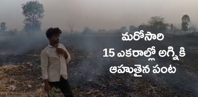 రైతులను వెంటాడుతున్న అగ్ని ప్రమాదాలు