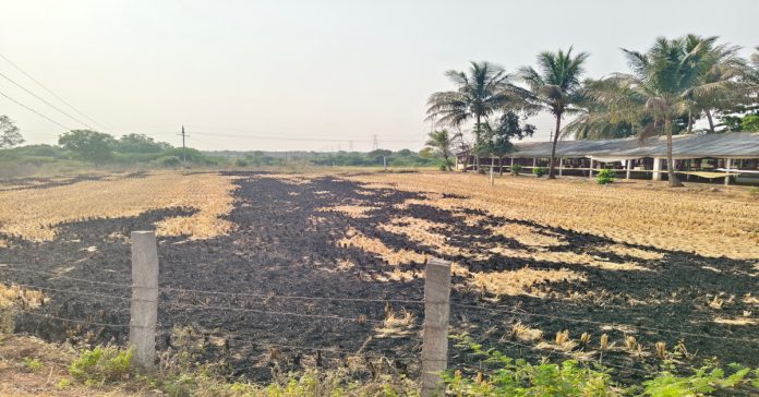 నిప్పుతో భూసారానికి ముప్పు