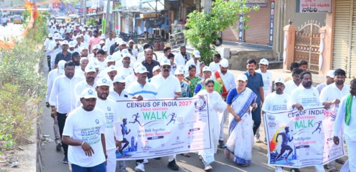 The foundation for public development with the census