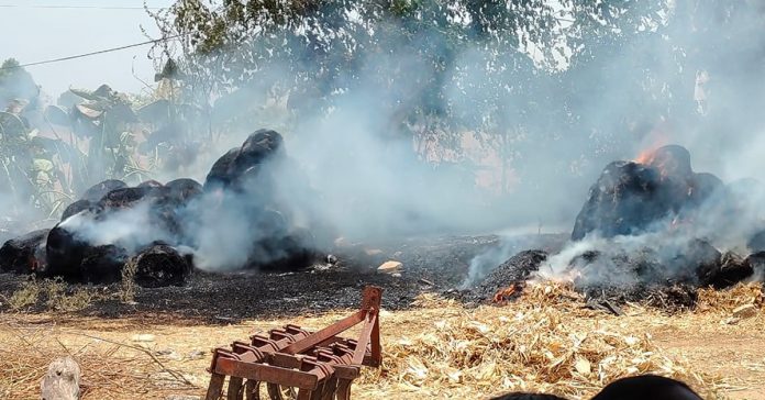 Crops in Flames