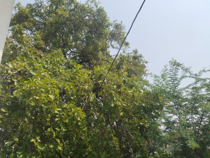 అయ్యా సారు…. ఇదేమి తీరు