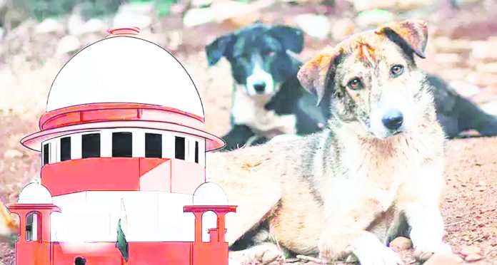 ‘వీధి కుక్కల తరలింపు ఆదేశాలు కొనసాగుతాయ్’