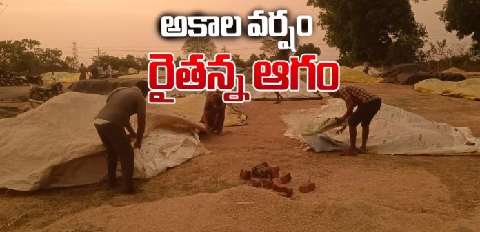 Farmers are suffering due to untimely rains.