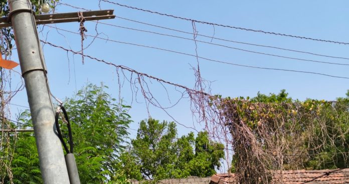 Officials who left electricity problems to chance