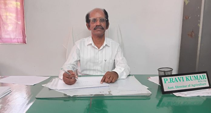 -Agriculture Department is ready for monsoon cultivation