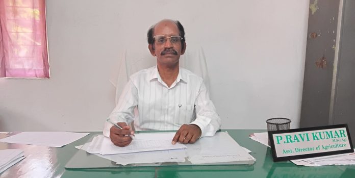 వరి రకాల సాగు వైపు రైతులు అడుగులు వేయాలి