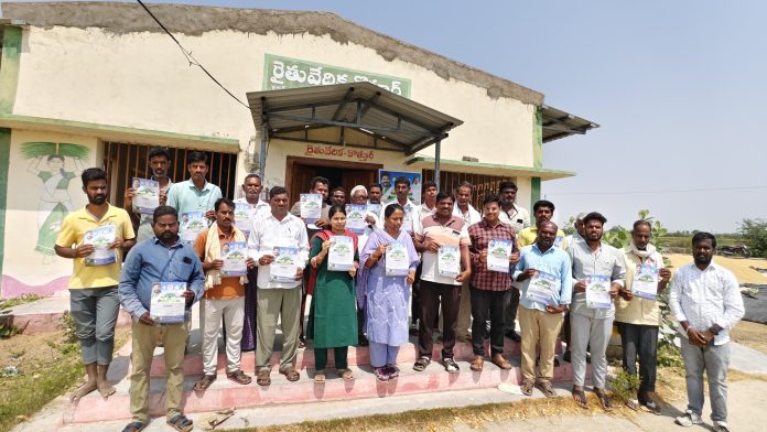 పంట మార్పిడితో అధిక దిగుబడి