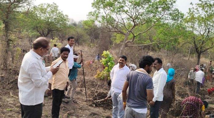 MPDO inspects employment guarantee works in Gullathanda