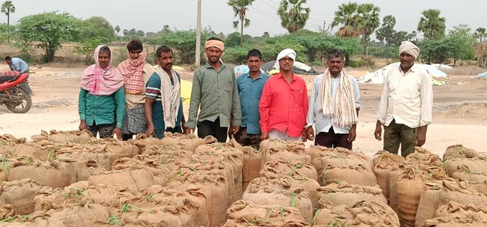 ధాన్యం కొనుగోళ్లను వేగవంతం చేయండి