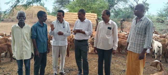 గొర్లకు తక్షణమే అమ్మ తల్లి టీకాలు పంపిణీ చేయాలి…