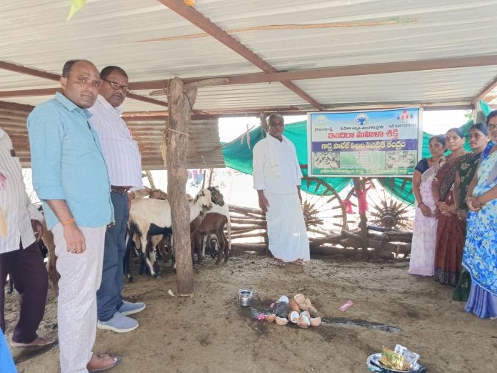 ఇందిరా మహిళా శక్తి పథకం క్రింద గొర్రెల పంపిణీ