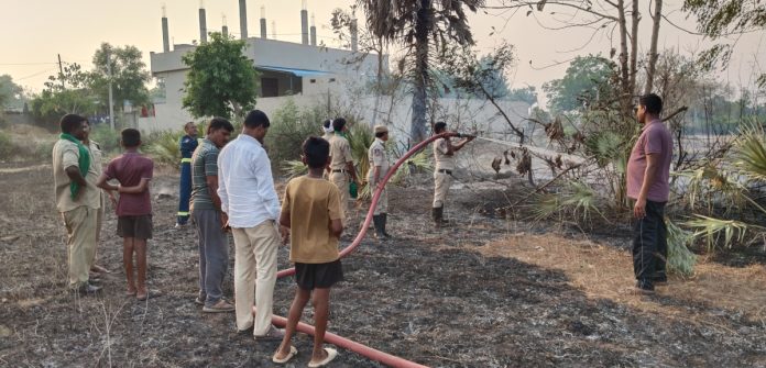 మొక్కజొన్న కొయ్యలకు నిప్పంటించిన దుండగులు