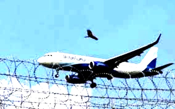 Oil and Rupee Blow to IndiGo