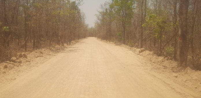 A completed dirt road in the forest