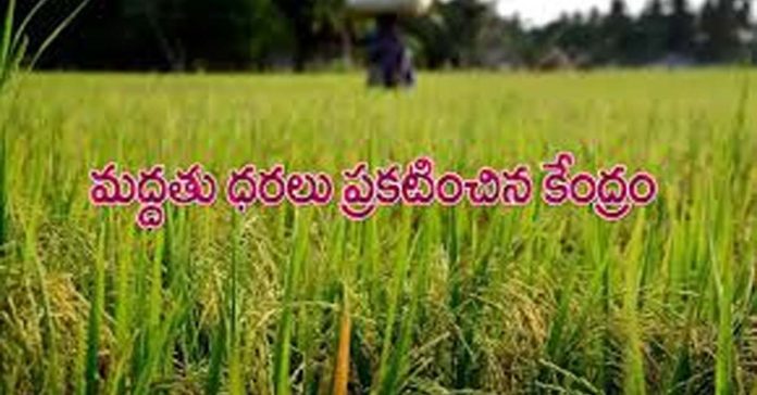ఖరీఫ్ సీజన్లో14 పంటలకు ఎంఎస్పీ