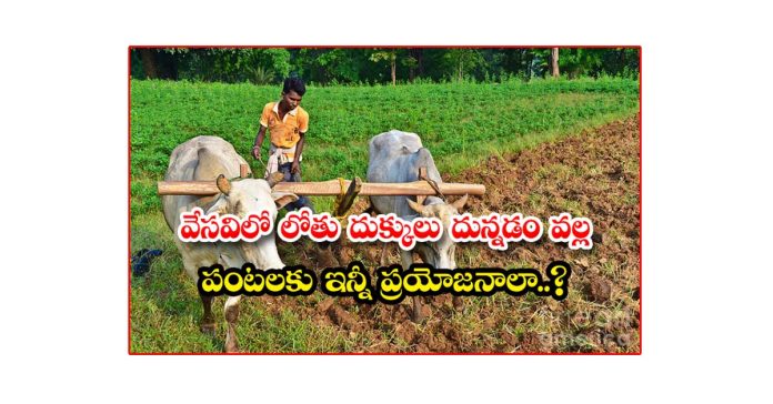 వేసవిలో దుక్కి దున్నిస్తే.. లాభం రైతుకే