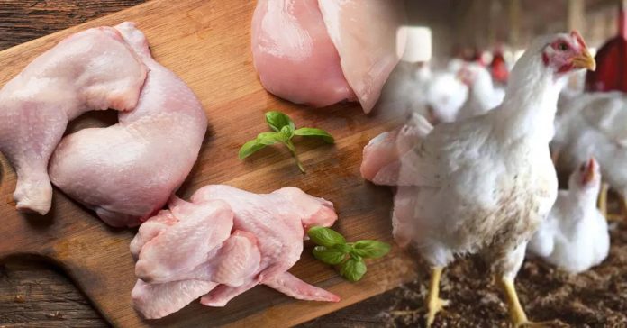 భారీగా పెరిగిన చికెన్ ధరలు..