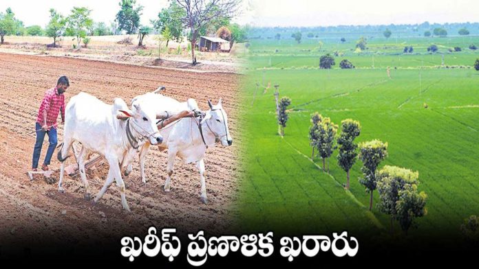 ఖరీఫ్ సాగు ఖరారు.!