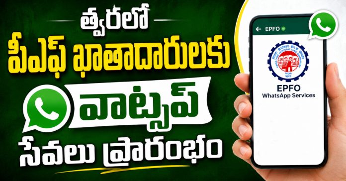 త్వరలో పీఎఫ్ ఖాతాదారులకు వాట్సప్ సేవలు ప్రారంభం