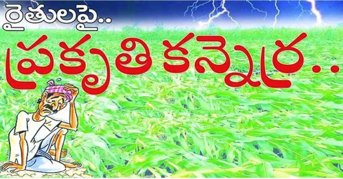 Farmar