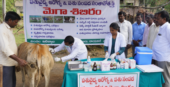 Mega veterinary camp in Itikya