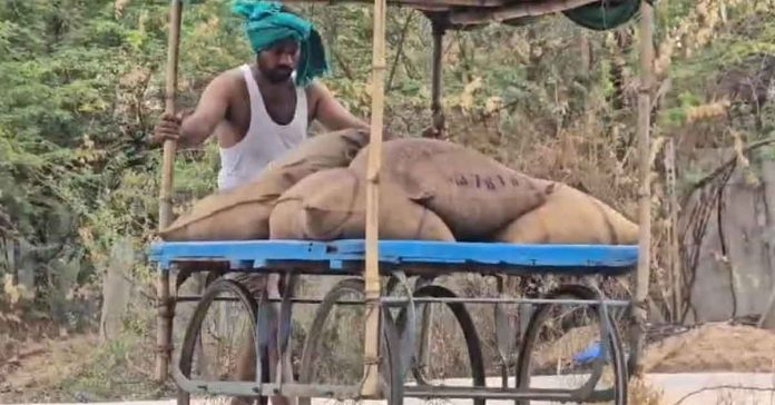 ధాన్యం తరలింపులో జాప్యం.. రైతు వినూత్న నిరసన