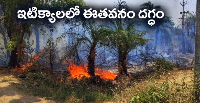 ఇటిక్యాలలో ఈతవనం దగ్ధం