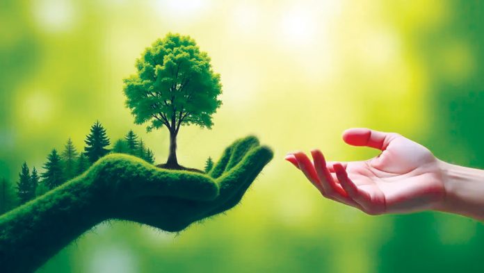 Nature gives so much—but what about you?