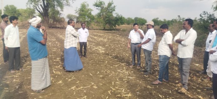 Electricity Department officials inspect agricultural lines