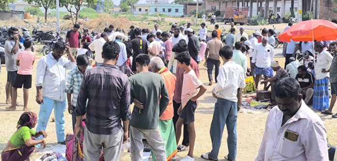 మృగశిర కార్తె..జోరుగా చేపల విక్రయాలు