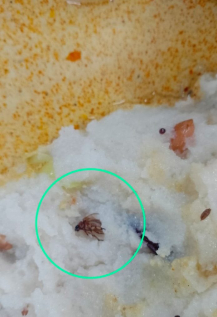 'Upma' of worms in KU mess