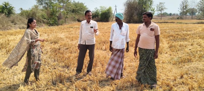Burning rice stalks will result in a fine of Rs. 5,000.