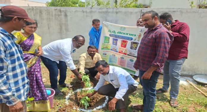 Everyone should plant trees..protect the environment.