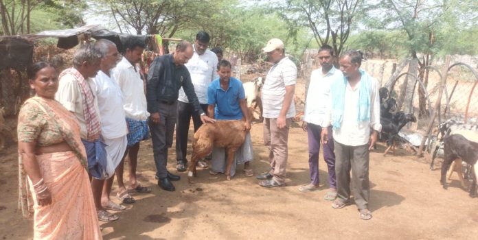 Distribution of vaccines for minor diseases