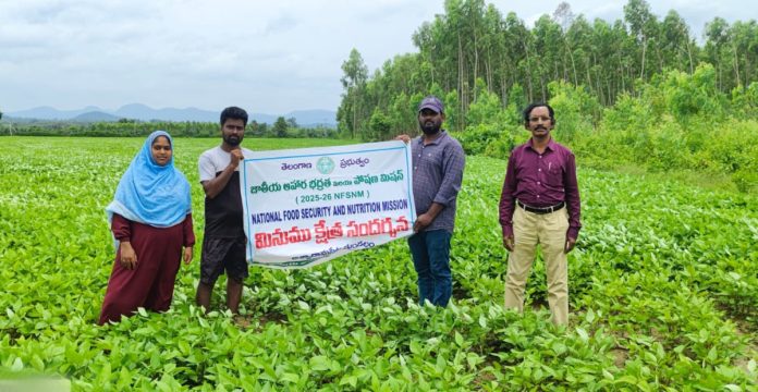 అపరాల సాగుతో పంట మార్పిడి, భూసారం పెరుగుదల