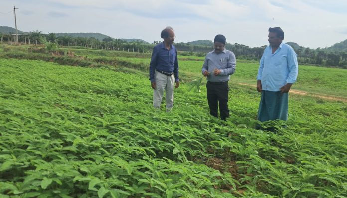 Soil conservation is our health.