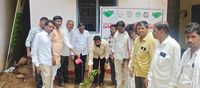 Everyone should plant and nurture saplings.