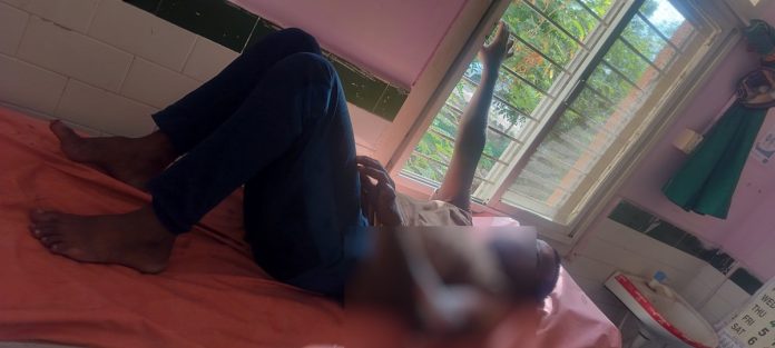 Man injured in monkey attack