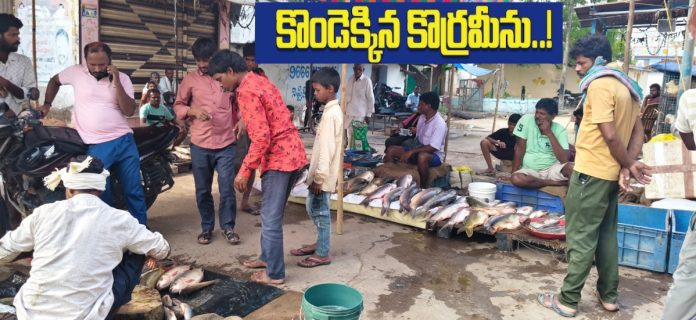 మృగశిర కార్తె ఎఫెక్ట్.. చేపల ధరలకు రెక్కలు