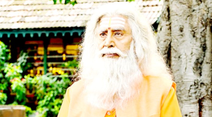 కీలక ఆధ్యాత్మిక పాత్రలో..