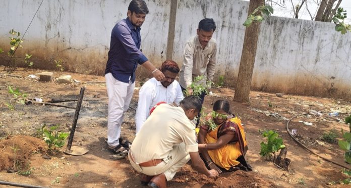 Planting and care measures should be taken.