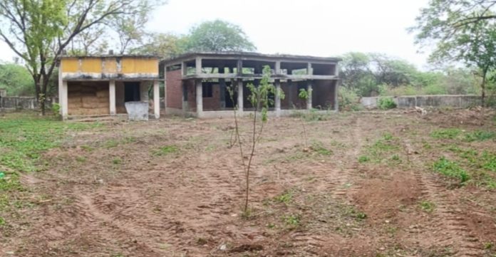 పాఠశాలకు మళ్లీ జీవం.!